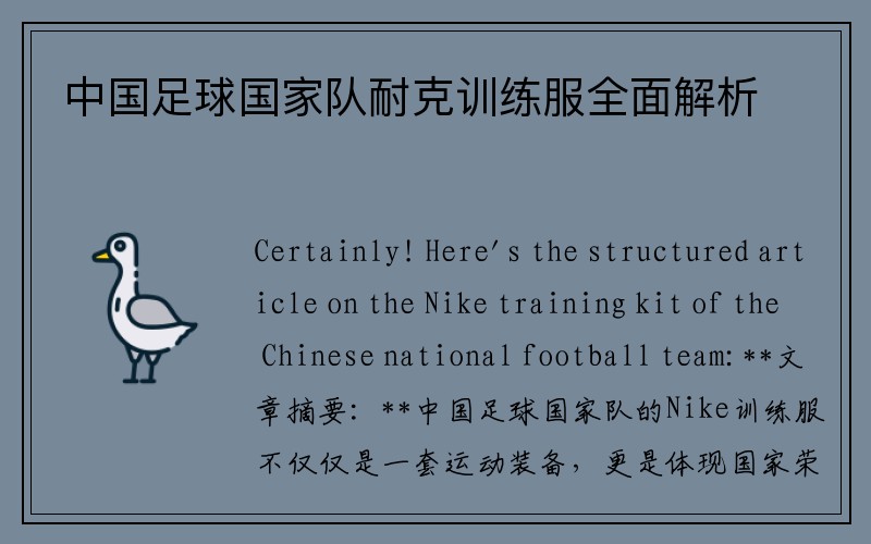 中国足球国家队耐克训练服全面解析